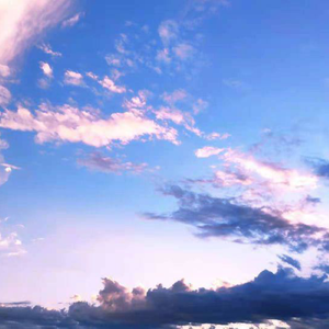 杨思敏一级婬片A片
